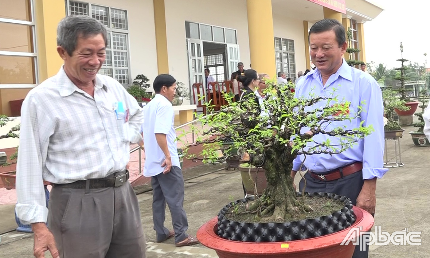 Đại biểu tham quan các tác phẩm kiểng cổ trưng bày tại Đại hội