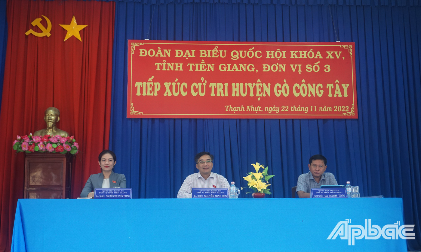 ĐBQH tỉnh lắng nghe và ghi nhận ý kiến cử tri. 