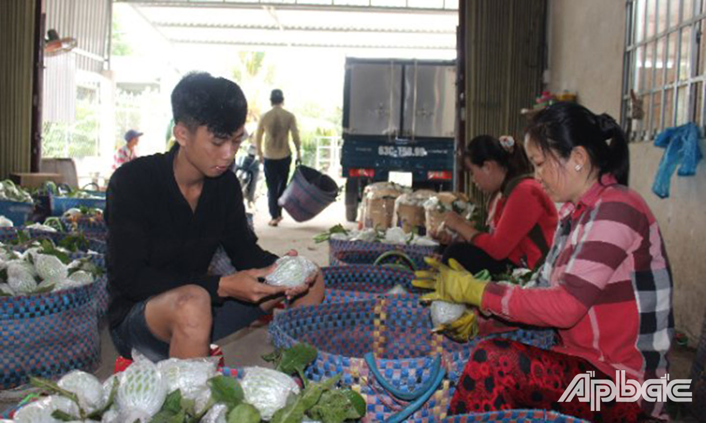Người dân xã Hòa Khánh chăm lo phát triển kinh tế, tăng gia sản xuất. 