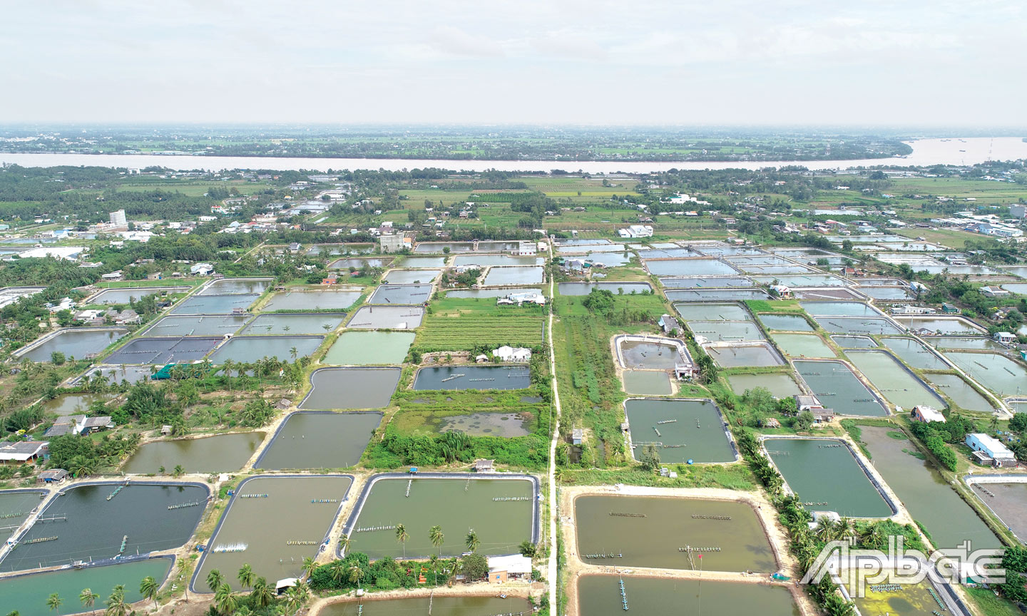 Tuyến đường bộ ven biển đi qua địa bàn huyện Tân Phú Đông được kỳ vọng sẽ giúp kinh tế - xã hội địa phương  phát triển đột phá.