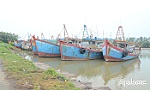 Công tác chống khai thác IUU có sự cố gắng, tiến bộ, nhưng chưa đạt mục tiêu