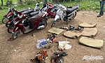Triệt phá tụ điểm đá gà ăn thua bằng tiền