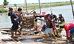 Đổi mới công nghệ là bước đi vững chắc cho ngành cá tra