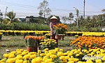 Ngoài thu nhập, còn 6 nhóm dịch vụ cơ bản định vị hộ nghèo