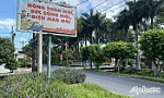 Ấp Bình Phong với nhiều mô hình bảo vệ môi trường