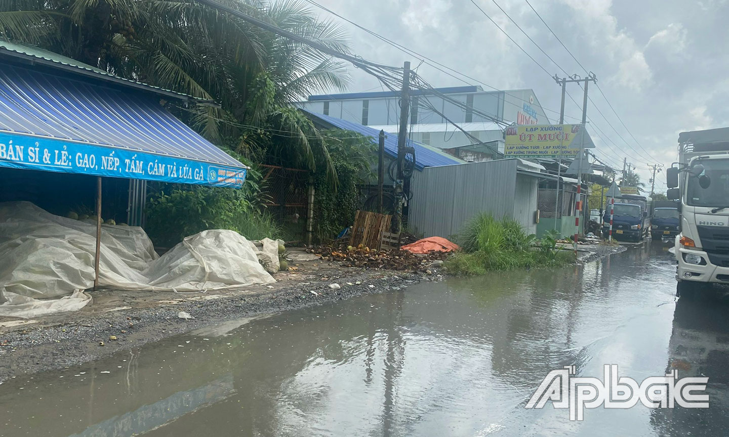 Đoạn xã Phú An, huyện Cai Lậy.