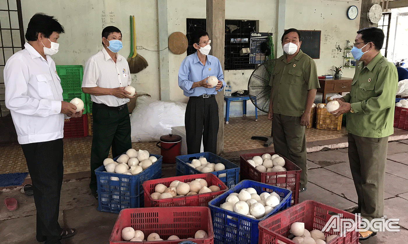 CCB Tiền Giang đẩy mạnh phát triển kinh tế.