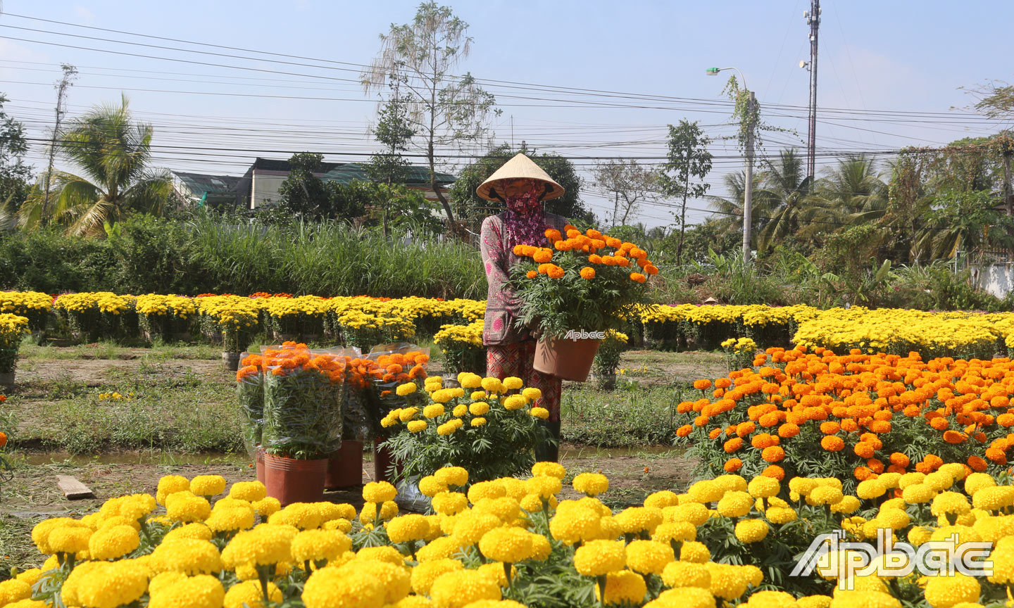 Xây dựng nông thôn mới góp phần đáng kể việc cải thiện điều kiện sống của người dân vùng khó khăn.
