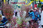Chuyên gia nhận định thời tiết Tết Quý Mão 2023