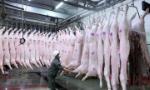 Thủ tướng yêu cầu giám sát, phát hiện sớm trường hợp nhiễm, nghi nhiễm bệnh lây từ động vật sang người
