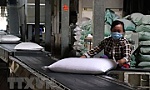 Sự phục hồi của Việt Nam hậu Covid-19 rất đáng ngưỡng mộ