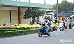 Chở mùa xuân về nhà