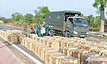 TP. Mỹ Tho: Cận cảnh trận địa pháo hoa trước giờ điểm hỏa