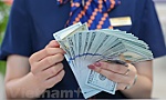 Đón dòng kiều hối - 