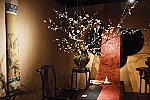 Tết đâu chỉ 