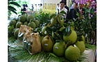 Thúc đẩy kinh tế tập thể ở Đồng bằng sông Cửu Long phát triển bền vững