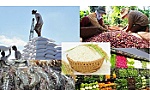 Nông nghiệp luôn là 'trụ đỡ bảo hiểm' về mặt xã hội