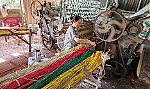 Về Long Định xem đan chiếu bông