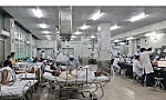 Để ngày xuân an toàn, vui khỏe
