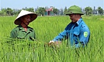 Một số chính sách mới nổi bật sẽ có hiệu lực trong tháng 2