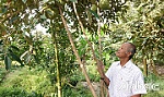 Huyện Cai Lậy: Năm mới, kỳ vọng những vụ mùa thắng lợi