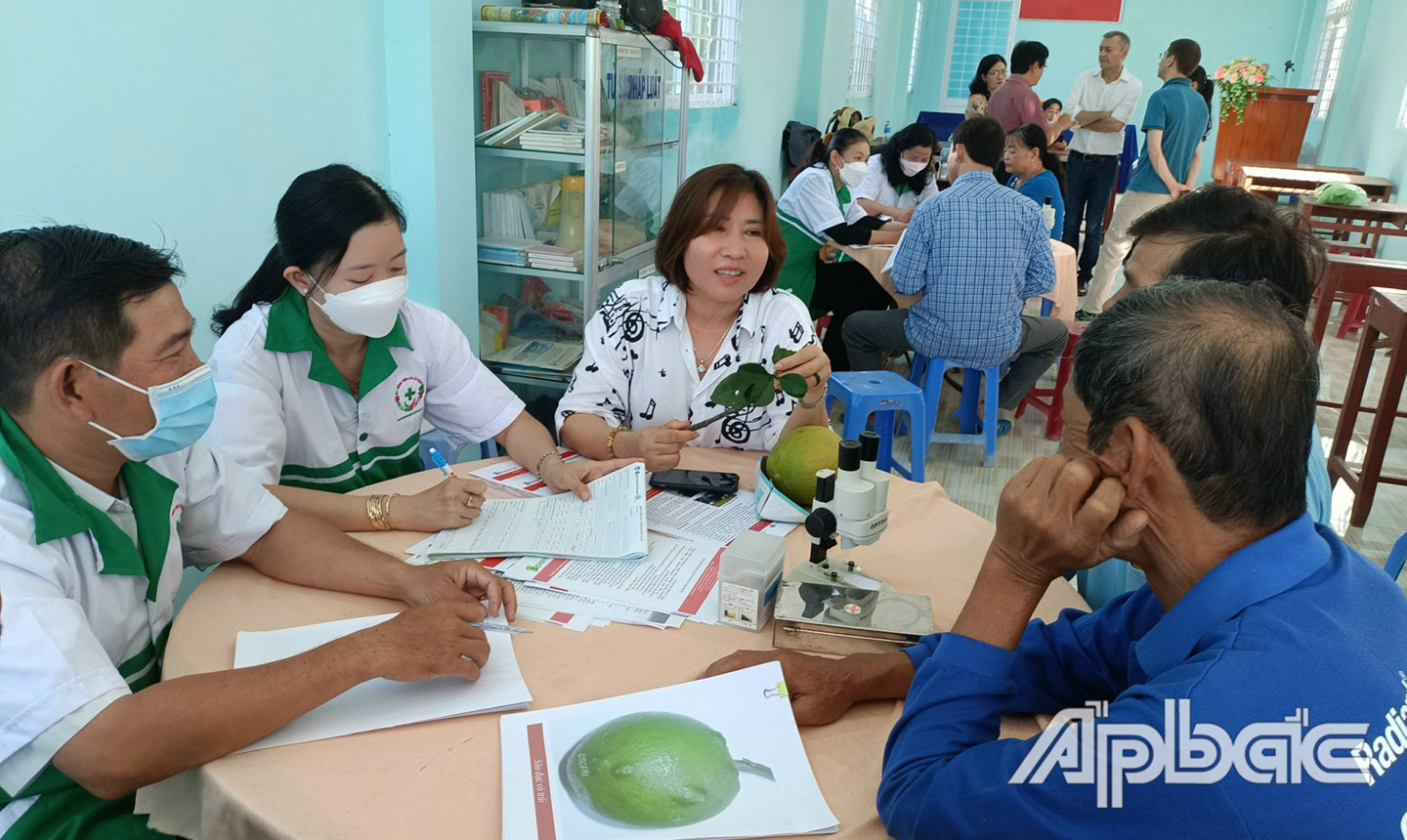 Thành viên HTX NNKDTH Tân Mỹ Chánh được hỗ trợ kỹ thuật trong trồng và chăm sóc cây bưởi da xanh đạt chất lượng cao.