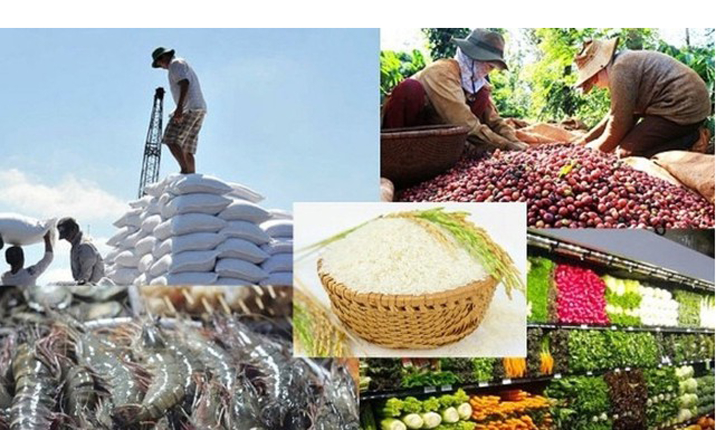 Năm 2022, kim ngạch xuất khẩu toàn ngành nông nghiệp đạt trên 53,22 tỷ USD, tăng 9,3% so với năm 2021.