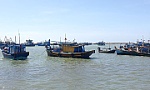 Quyết liệt hành động gỡ 