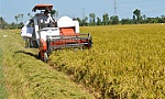 TOÀN VĂN DỰ THẢO LUẬT ĐẤT ĐAI (SỬA ĐỔI) - LẤY Ý KIẾN LẦN 2