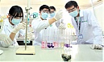 Đăng ký xét tuyển đại học: Lựa chọn ngành phù hợp sở thích, năng lực