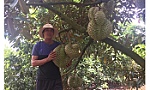 Xuất khẩu nông sản sang Trung Quốc: Nắm chắc và đáp ứng những yêu cầu mới