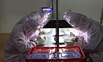 Xuất khẩu tổ yến sang Trung Quốc: Mã định danh - mảnh ghép còn thiếu