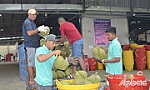 BÀI CUỐI: Đừng để sầu riêng thành 