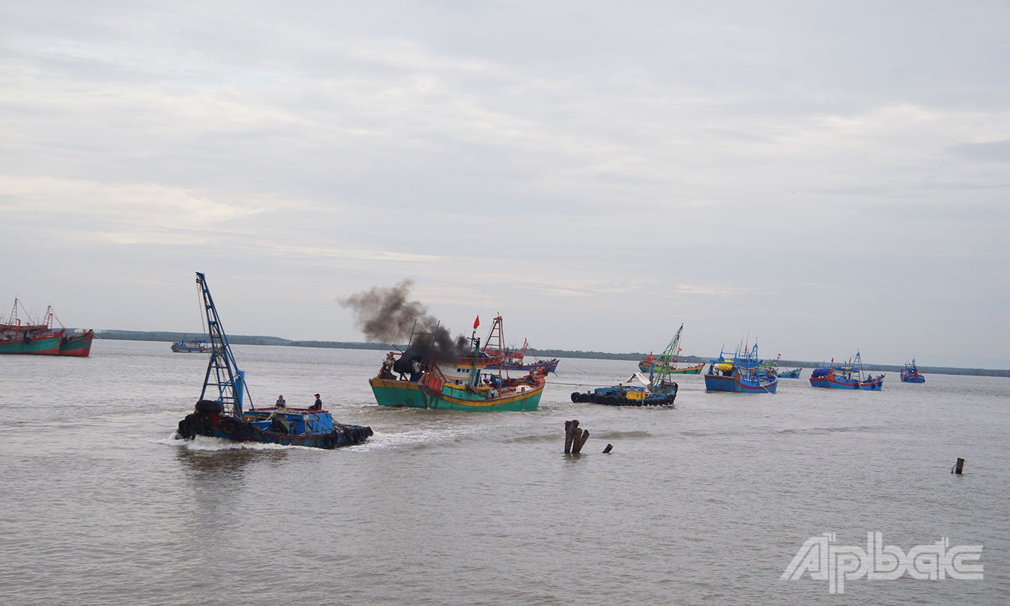 Ngư dân phấn khởi vươn khơi những ngày đầu năm.