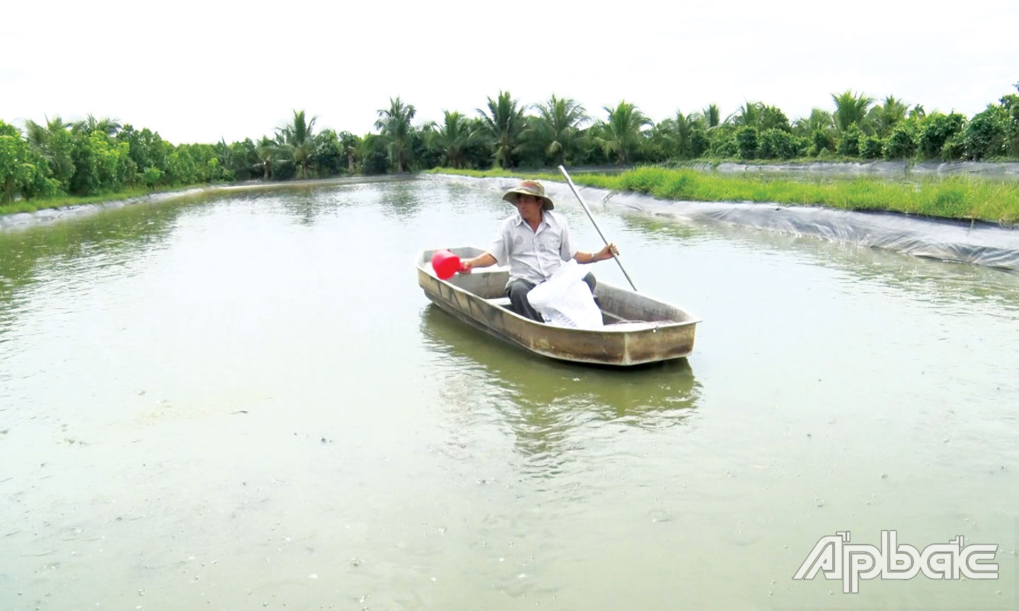 Ông Ngô Văn Em cho cá ăn.
