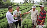 Để Hội thật sự là 