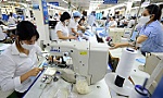 Xuất khẩu vẫn gặp khó