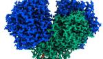Australia phát hiện enzyme có thể biến không khí thành điện