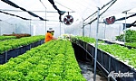 Đa dạng hóa sản phẩm, phục vụ tốt nhu cầu sản xuất