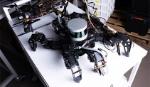 Chế tạo robot có não dựa trên đặc tính sinh học của côn trùng