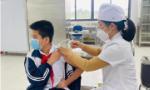 Còn hơn 13 triệu mũi tiêm vaccine COVID-19 chưa có trên hệ thống, Bộ Y tế yêu cầu tăng cường nhập dữ liệu