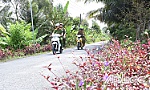 Phát huy hiệu quả mô hình Xã điển hình về phong trào Toàn dân bảo vệ an ninh Tổ quốc
