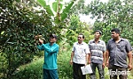 Xã Cẩm Sơn: Nỗ lực xây dựng nông thôn mới kiểu mẫu