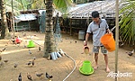 Người chăn nuôi lao đao vì giá thấp