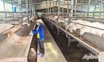 Gắn kết nông dân phát triển kinh tế, xây dựng nông thôn mới