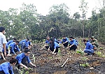 Bài 2: Nhận diện sự thật
