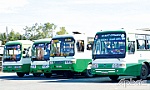 Hoạt động hiệu quả nhờ ứng dụng công nghệ thông tin