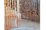 Một phóng viên bị ném đầu chó, tạt chất bẩn vào nhà