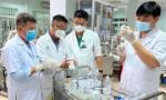 Viện Kiểm nghiệm An toàn thực phẩm Quốc gia: Có vi khuẩn gây ngộ độc trong cá chép muối ủ chua