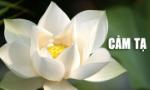 CẢM TẠ